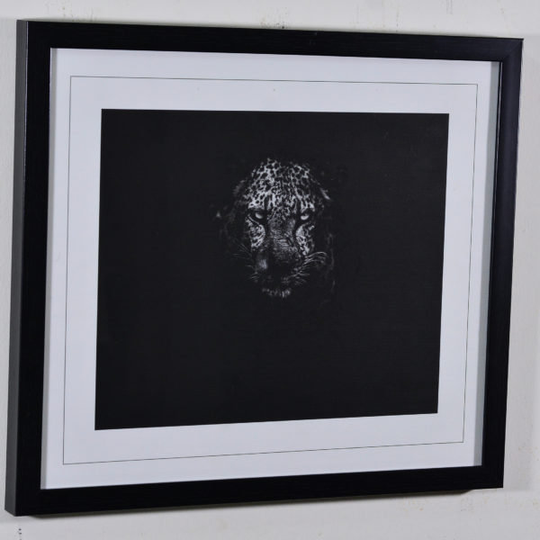 Chetah in Black Box Frame-16x14 inches
