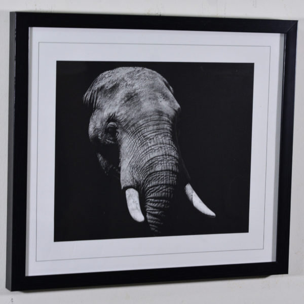 Elephant in Black Box Frame-16x14 inches