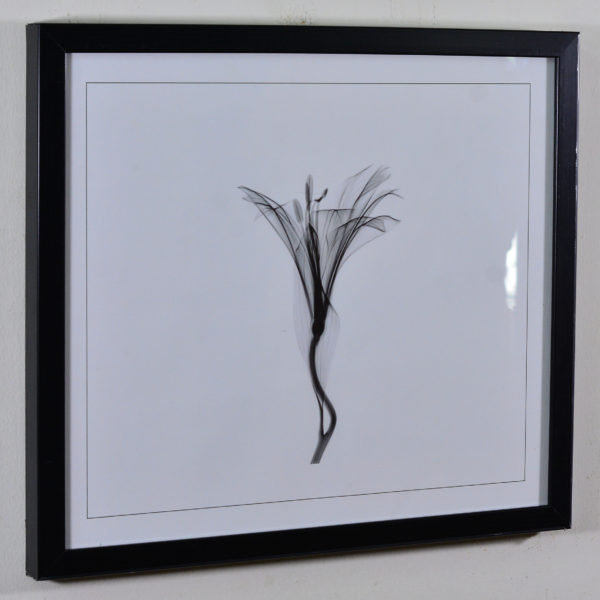 White Flower in Black Box Frame-16x14 inches