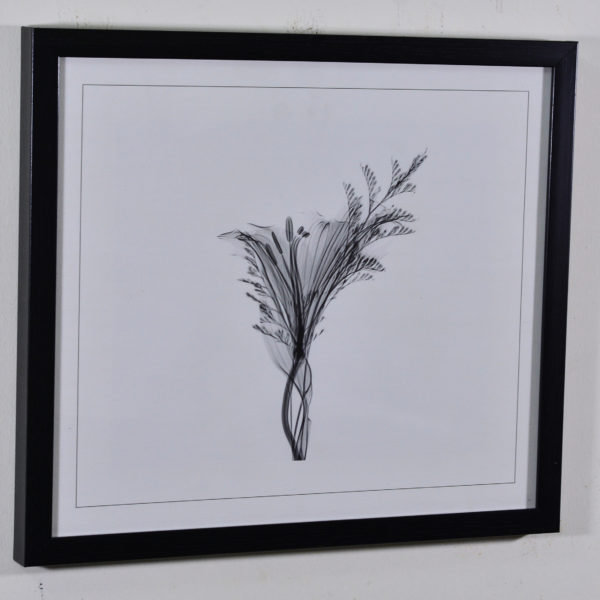 White Flowers in Black Box Frame-16x14 inches