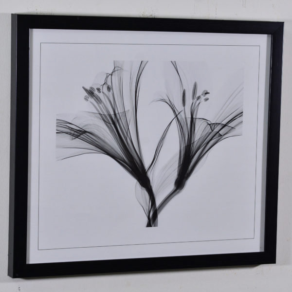 White Flowers in Black Box Frame-16x14 inches