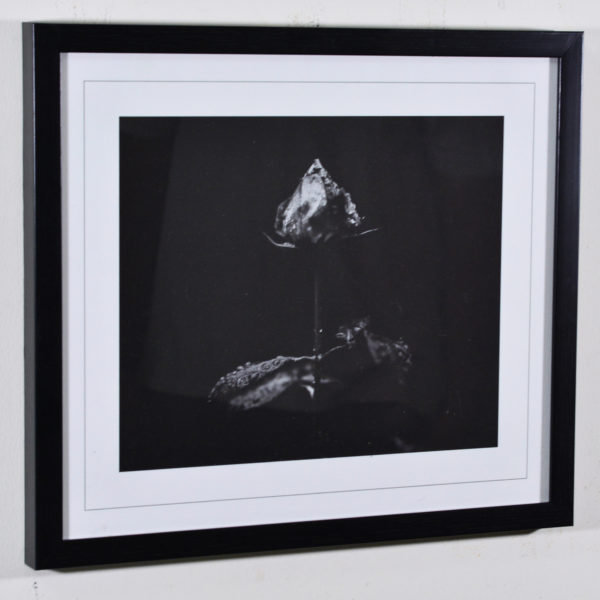 Rose Bud in Black Box Frame-16x14 inches