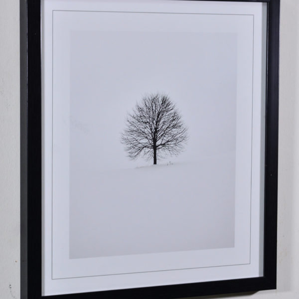 Tree in Snow in Black Box Frame-16x14 inches