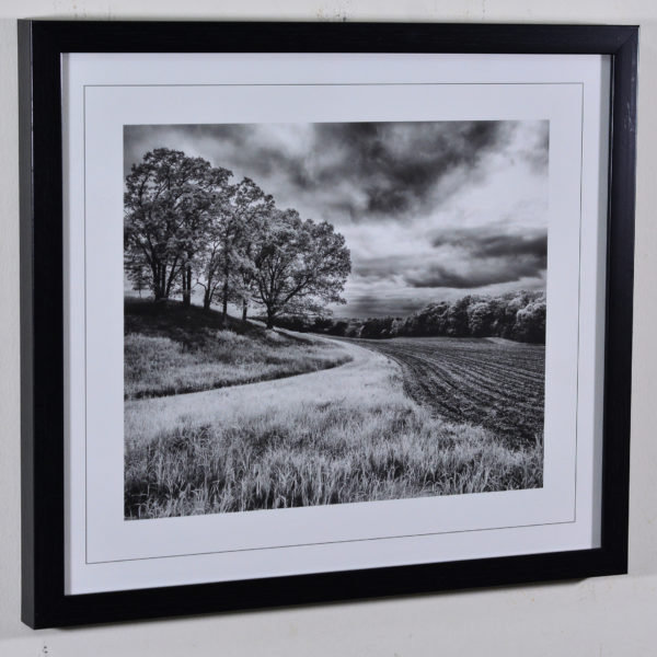 Farm Land in Black Box Frame-16x14 inches