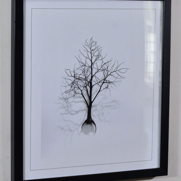 tree in Snow in Black Box Frame-16x14 inches