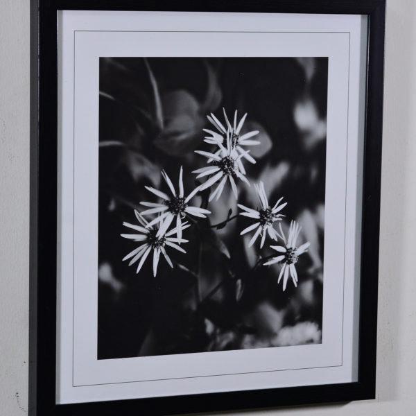 White Flowers in Black Box Frame-16x14 inches