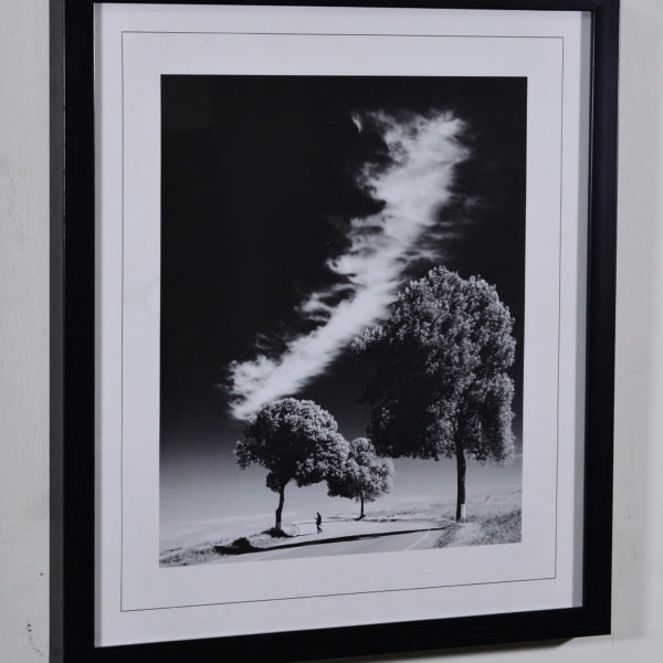 Trees in Black Box Frame-16x14 inches