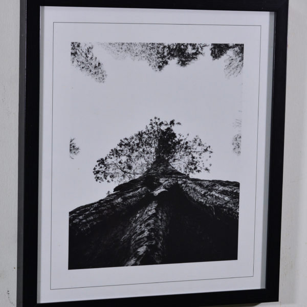 Mountains in Black Box Frame-16x14 inches