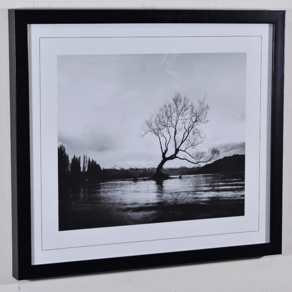 Tree in the Pond in Black Box Frame-16x14