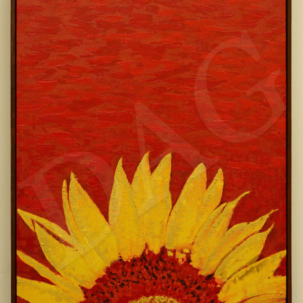 Sun flower-30x25 inches
