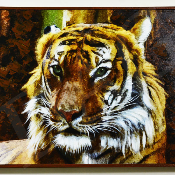 Tiger-20x30 inches