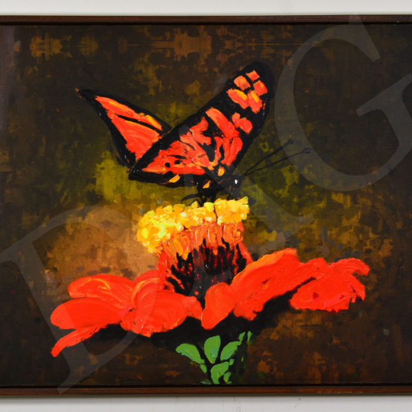 Butterfly and The Flower-19x24 inches